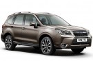 forester1